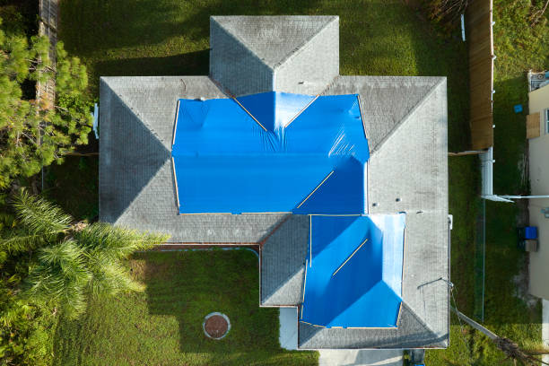 Best Roof Ventilation Installation  in Frankfort, IL