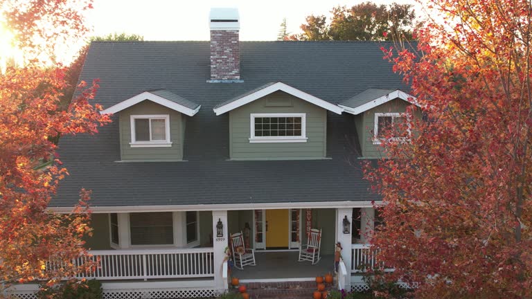 Best Roof Moss and Algae Removal  in Frankfort, IL